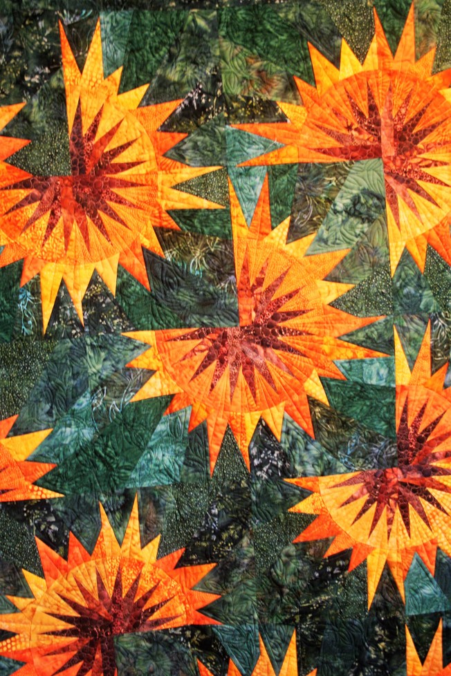 Sunflower Illusions (close up )